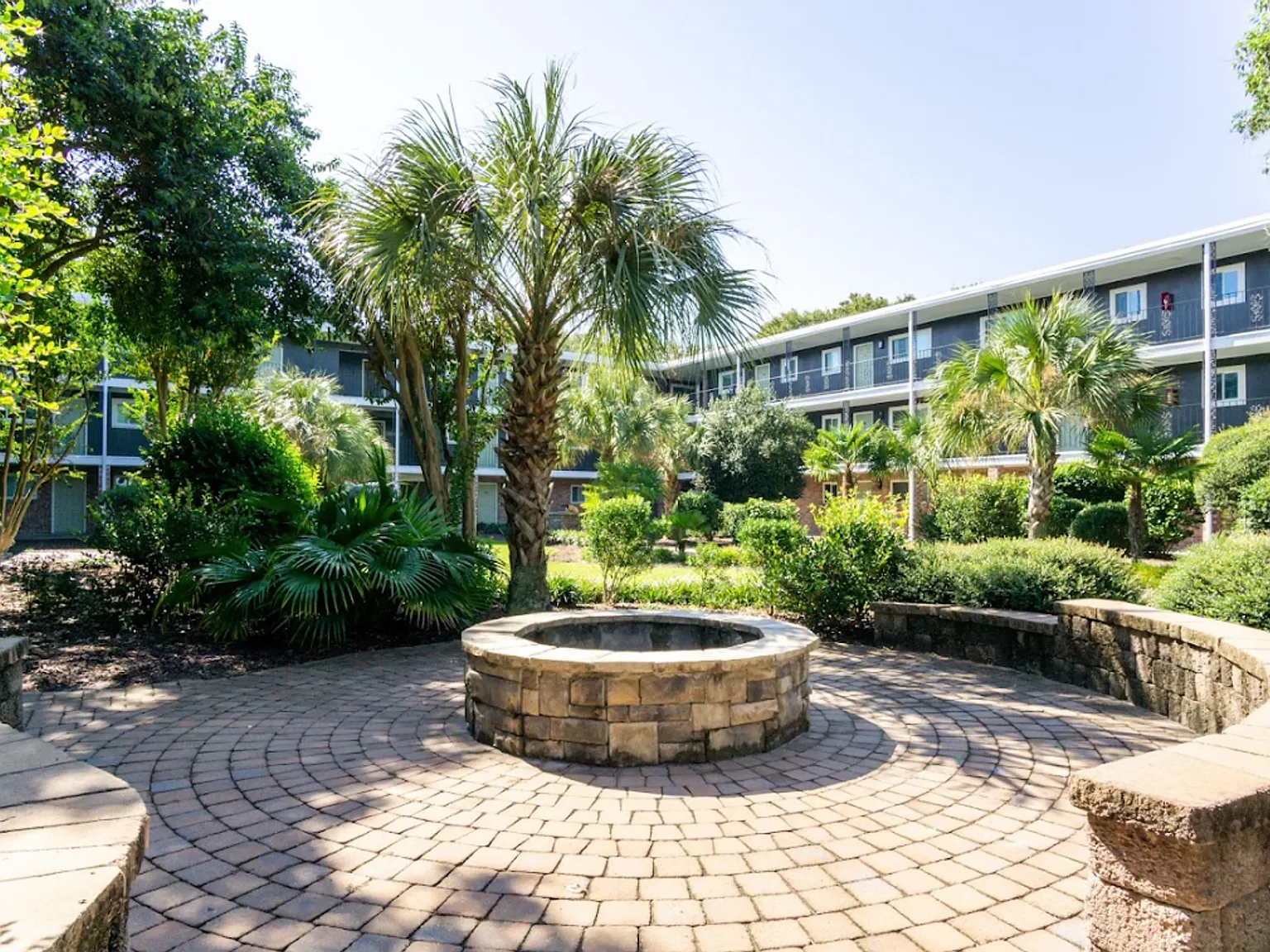 Palmetto Square — Photo 3