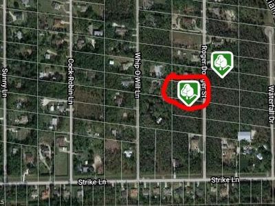 24310 Roger Dodger St, Bonita Springs, FL, 34135