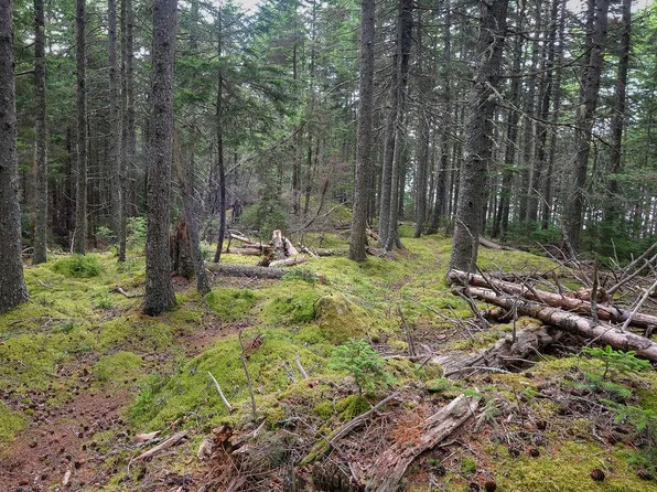 M4 L18 South Deer Isle Road, Deer Isle, ME 04627