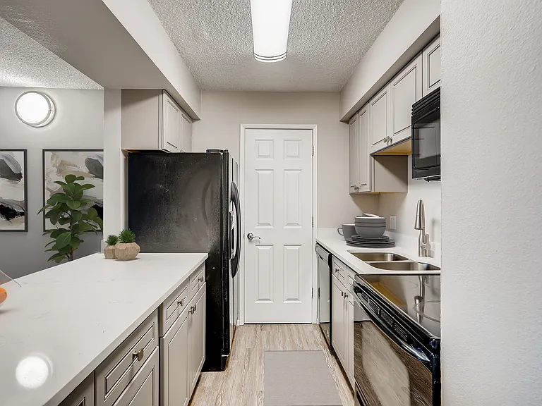 new quartz counter tops, new cabinets, new dishwasher, new sink