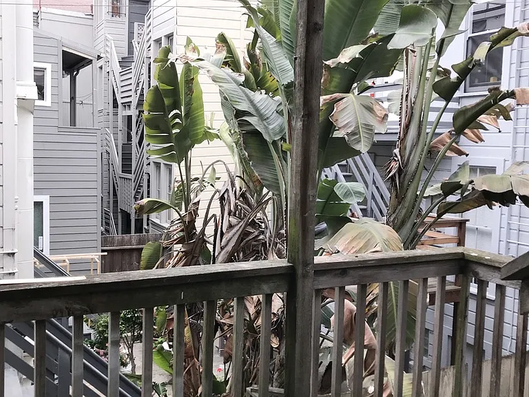 585 Birch St #15 — Photo 11