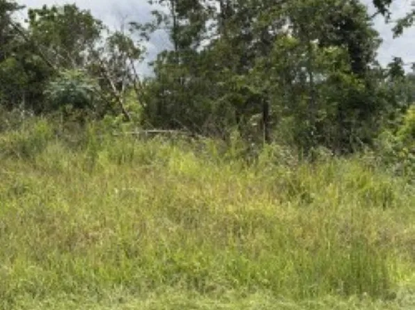 23 County Road 868, Henderson, AR 72544