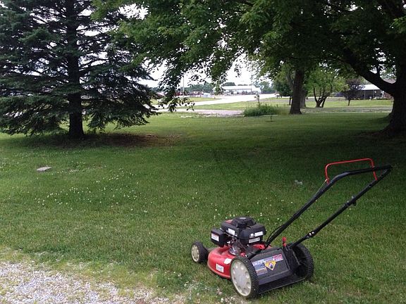 Front yard large trees