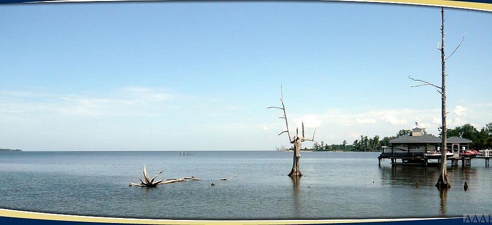 1st image of 169 Blue Heron Boulevard LOT 013