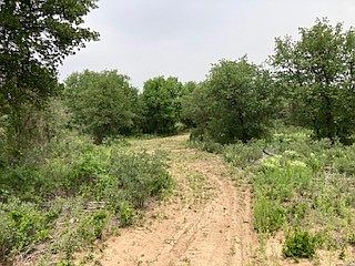 5th image of 2520 Private Road 334
