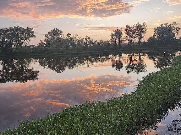 5th image of 8605 Chestnut Rd