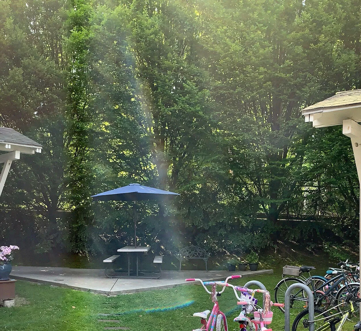 Burke Gilman Gardens — Photo 4
