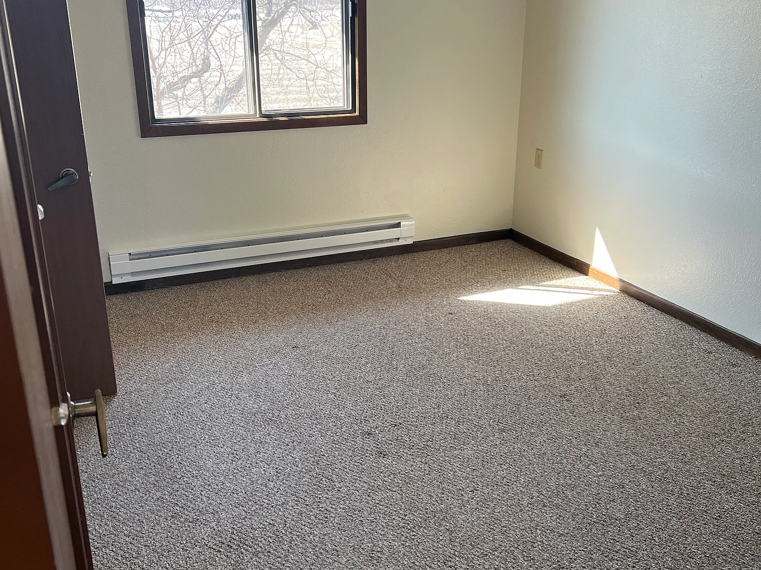 1 bed, $530 — Photo 4