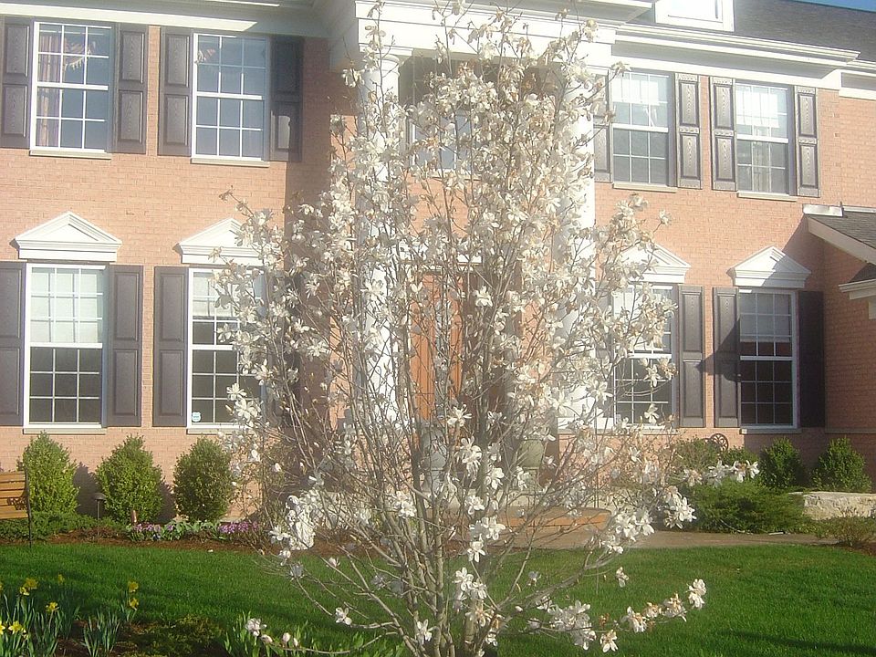 1st image of 1029 Cider Ct
