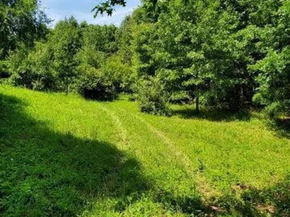 PARCEL Springport Rd #C, Parma, MI 49269