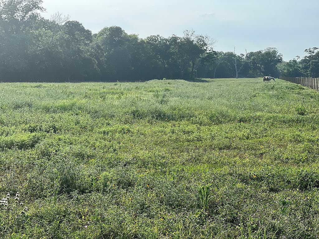 0 County Road 126 Old Van Vleck Rd, Van Vleck, TX 77482 MLS 776668