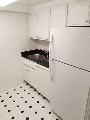 Rented by Manhattan Apartment Organization | media 40