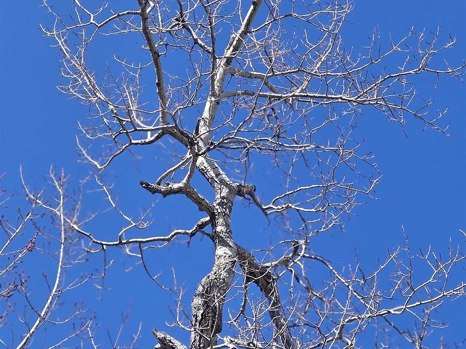 2nd image of 153 Taylors Rd