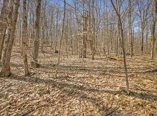 L9113 Lutheranville Rd, Summit, NY 12175