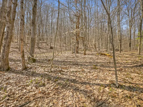 L9113 Lutheranville Rd, Summit, NY 12175