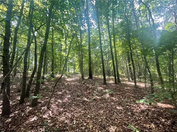 260 Cassidy Bridge Rd, Mountain Rest, SC 29664