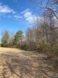 287 Thurman Rd, Union Grove, AL, 35175