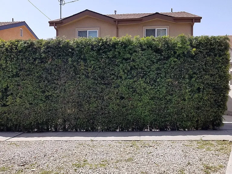 3424 Bellevue with Privacy Hedge