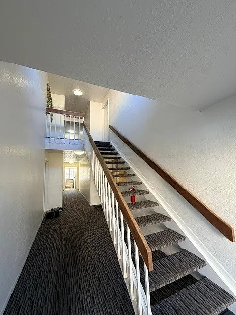 2 bed, 900 sqft, $1,275 — Photo 2