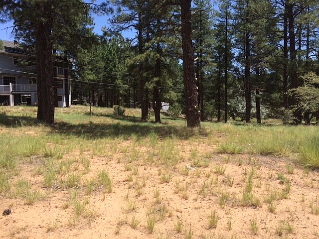 1st image of 1740 Fairway Dr #Empty