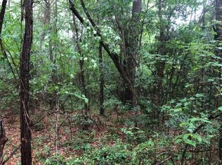 45 Lazy Oak Ln, Picayune, MS 39466