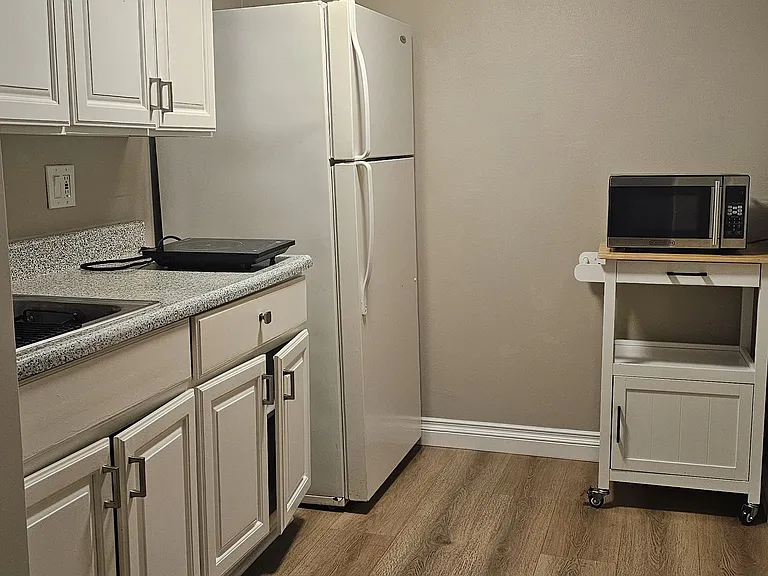 Kitchen: Includes refrigerator, electric counter top burner and microwave