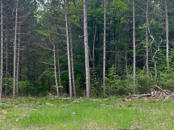 PARCEL Theron Rd #C, Traverse City, MI 49685