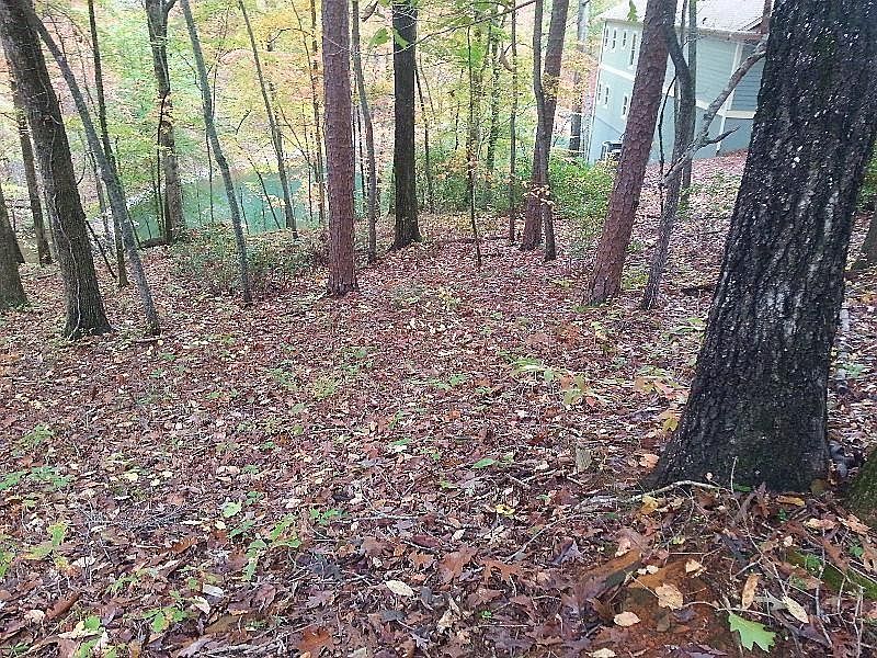 2nd image of 17 Point North Dr