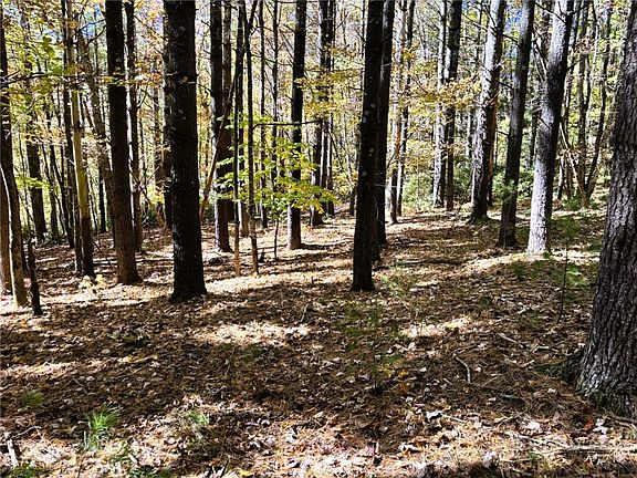 3rd image of Lot #25 Cedar Ridge Drive