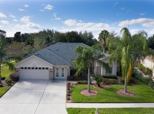 3915 Saddle Ridge Blvd, Valrico, FL 33596