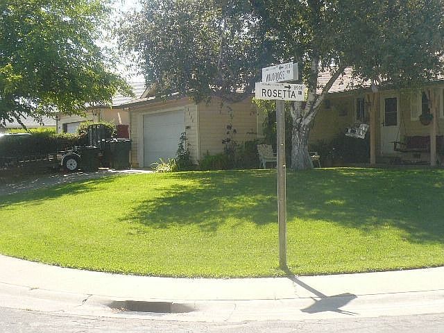Front View