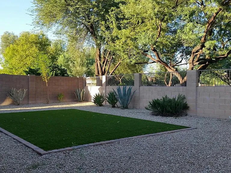 BACKYARD 1