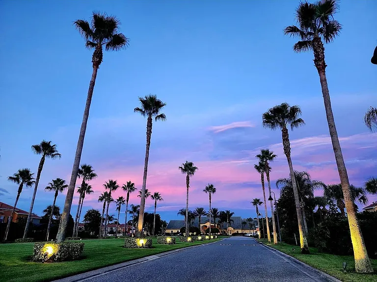 Majesty Palm Rd — Photo 54