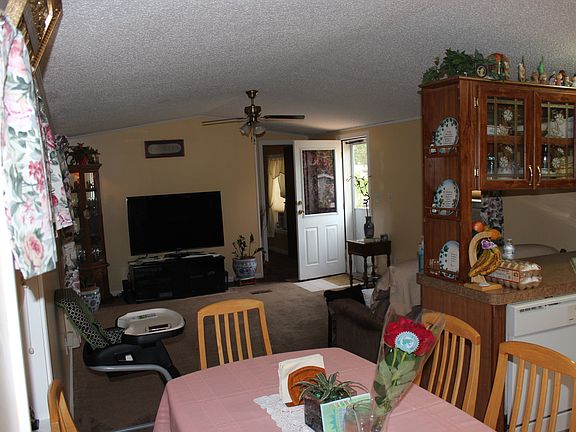 View from Extension door