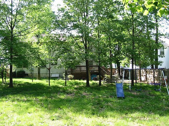 view of backyard