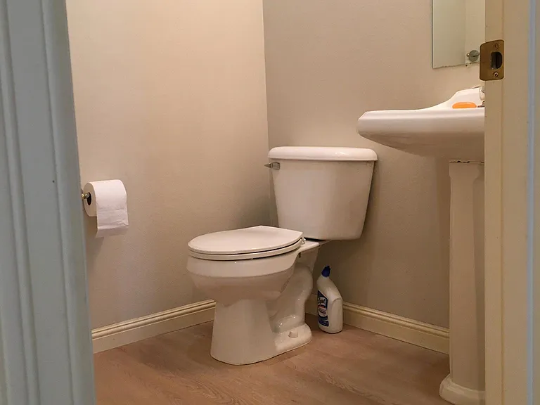 Downstairs powder room