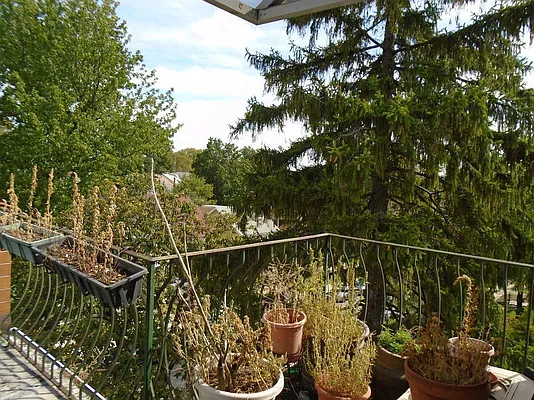 Rented by 18 REALTY | media 5