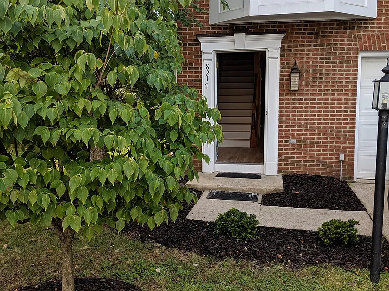8217 Singleleaf Ln — Photo 22