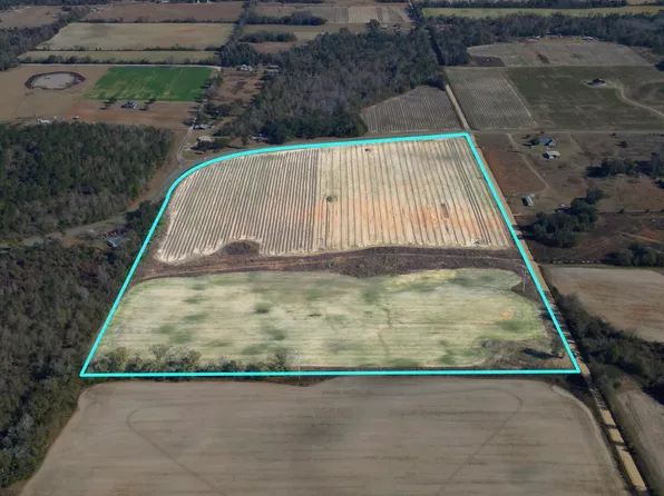 0 Sandridge Church Rd, Grand Ridge, FL 32442