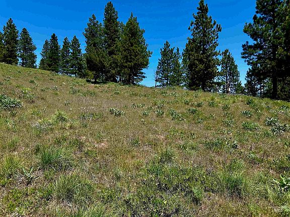 3rd image of Aspen Ridge Rd