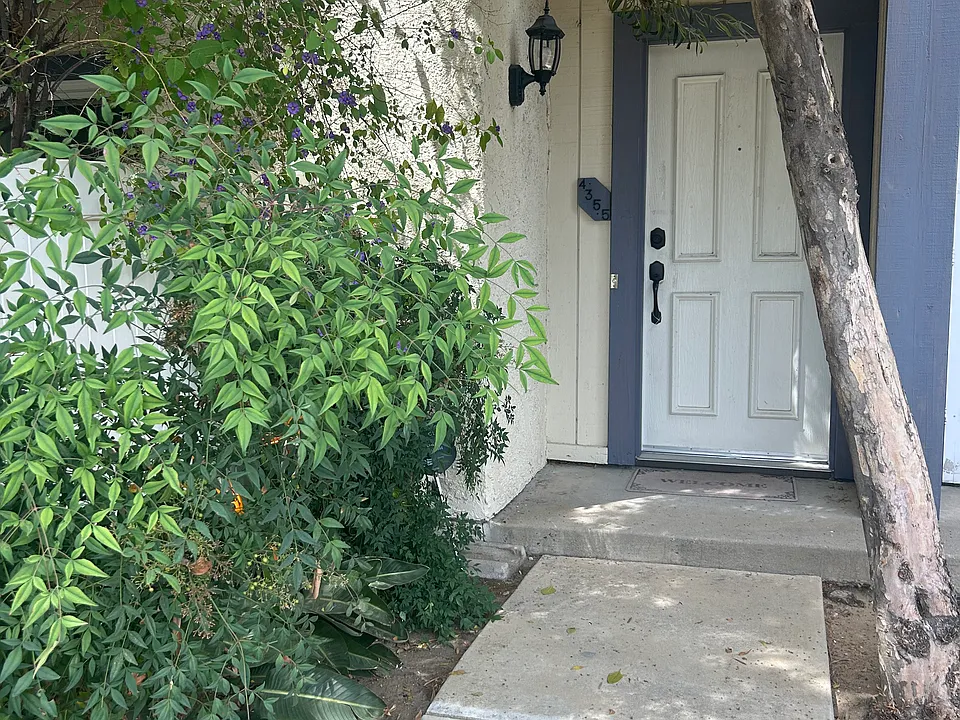 4355 Alamo St