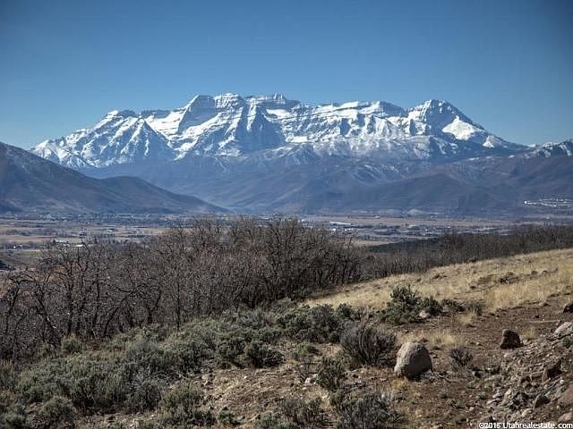 View from one of the knolls