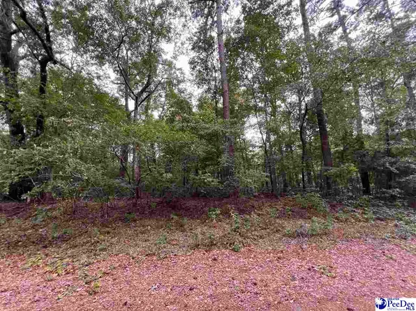 282 Pineneedle Cir, Johnsonville, SC 29555