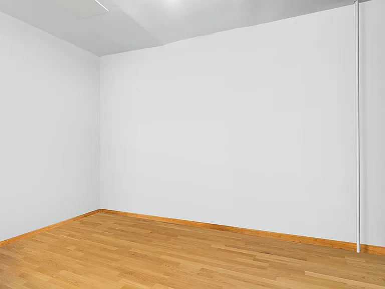 311 Cumberland St #1 — Photo 6