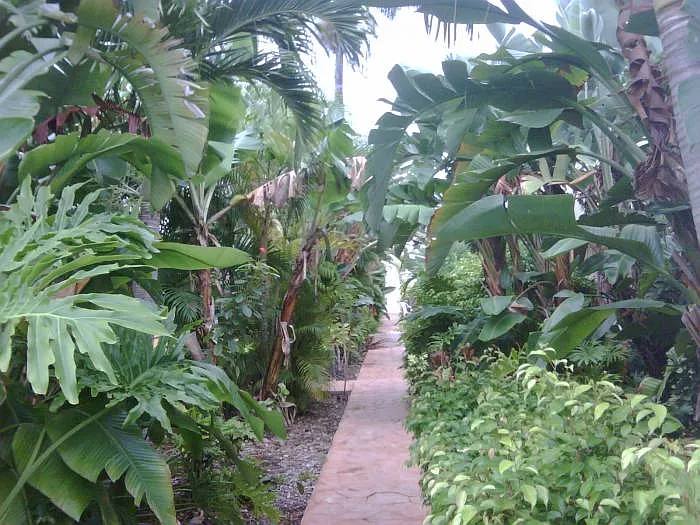 340 - Hemingway At Wilton Manors LLC - 4-610 — Photo 1