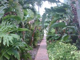 610 NE 29th Dr, Fort Lauderdale, FL