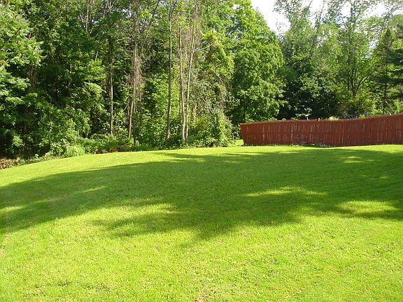 Large backyard
