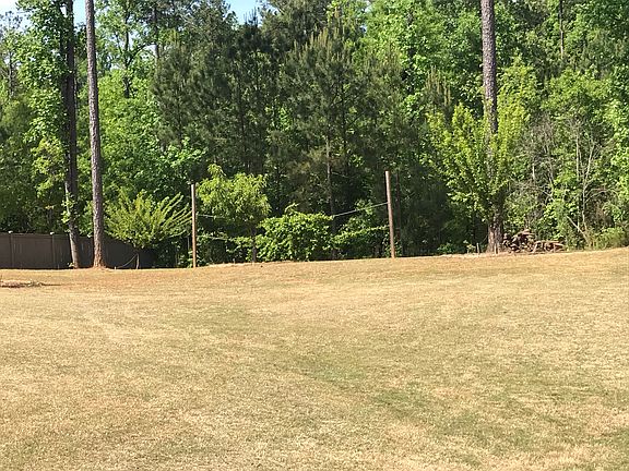 10 fruit trees plus grapes