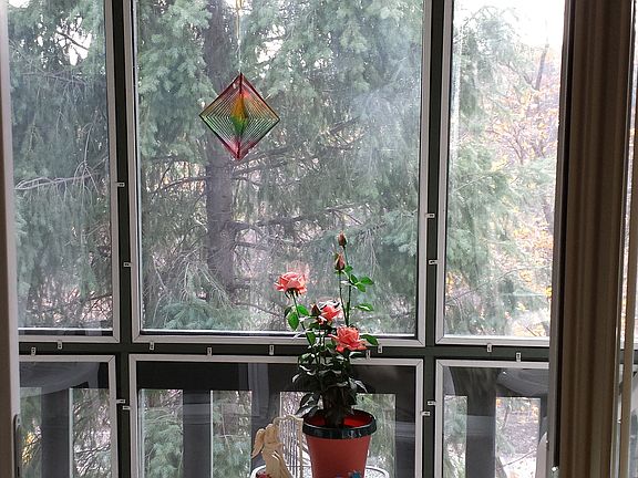 View from Living Room