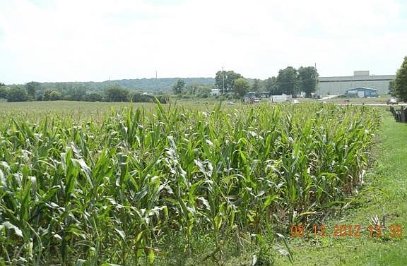 2nd image of 4204 Hoepker Rd